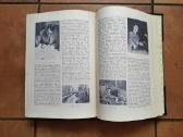 Lietuviškoji enciklopedija 9 tomas, 1941 metai - nuotraukos Nr. 13