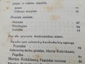 Ystatai ir veikimo taisykles 1933m - nuotraukos Nr. 4