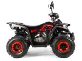 Benzininis keturratis 125 cc tao motor fourcraft - nuotraukos Nr. 4