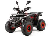 Benzininis keturratis 125 cc tao motor fourcraft - nuotraukos Nr. 8