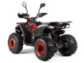 Benzininis keturratis 125 cc tao motor fourcraft - nuotraukos Nr. 6