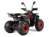 Benzininis keturratis 125 cc tao motor fourcraft - nuotraukos Nr. 5
