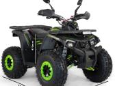Benzininis keturratis 125 cc tao motor fourcraft - nuotraukos Nr. 3