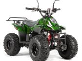 Benzininis keturratis XTR 125cc su garantija! - nuotraukos Nr. 20