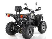 Keturratis Magnum 250cc su lietais ratlankiais - nuotraukos Nr. 4
