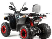 Benzininis keturratis Tao Fourcraft 250 cc - nuotraukos Nr. 5