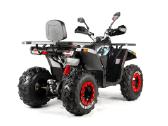 Benzininis keturratis 250cc su garantija! - nuotraukos Nr. 4