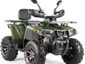 Benzininis keturratis 250 cc Lieti ratlankiai - nuotraukos Nr. 2