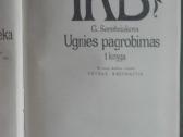 591. Ugnies Pagrobimas Serebriakova G. - nuotraukos Nr. 2