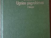 591. Ugnies Pagrobimas Serebriakova G. - nuotraukos Nr. 4