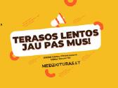 Statybinė mediena Vilniuje ir Vilniaus rajone - nuotraukos Nr. 2