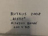 Rutkaus Paveikslas (Akcija tik šią savaitę) - nuotraukos Nr. 3