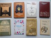 Grožinės literatūros knygos po 0,5 eur