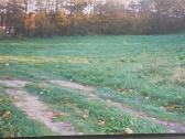 Sklypas su ežero pakrante prie Mažeikių - nuotraukos Nr. 3