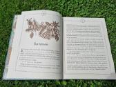 "Spragtukas ir pelių karalius" - nuotraukos Nr. 3