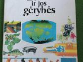Daug knygu vaikams - nuotraukos Nr. 21