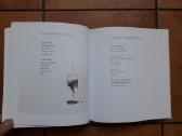 Paulina Žemgulytė "Žalio lapo skėtis" 2014 m. - nuotraukos Nr. 7