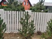 Tvoros stulpas betono šukinė tvora - nuotraukos Nr. 6