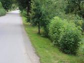 Parduodami 13,6 Arų Du Sodo Sklypai Joniškyje - nuotraukos Nr. 14