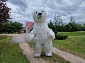 Meškiuko Sniegio Sveikinimas - nuotraukos Nr. 16