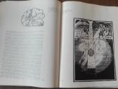 651. О Природе Книжной Иллюстрации - nuotraukos Nr. 7