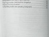 Kryžiaus keliai. Sentencijos susimąstymui - nuotraukos Nr. 3