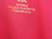 Uniforma Pliaterytės progimnazija Naujas džemperis - nuotraukos Nr. 2