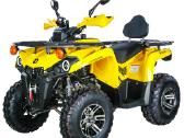 Keturratis Registruojamas T3b 200cc! Pigiausias! - nuotraukos Nr. 15