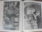 667. Н. Рерих 1874-1947 Князева К. П. - nuotraukos Nr. 9
