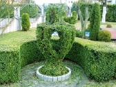 Augalų Skulptūros (Topiary), rėmai - nuotraukos Nr. 16