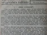 Pranciškonių Pasaulis 1940 m. ,nr.7 - nuotraukos Nr. 15