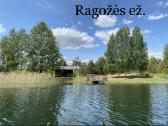 Stovyklavietė prie Ragožės ež. Lazdijai