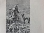 Pranciškonių Pasaulis 1937 m. ,nr.3 - nuotraukos Nr. 7