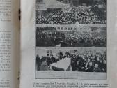 Šv. Pranciškaus Varpelis 1935 m. ,nr.7 /8 - nuotraukos Nr. 7