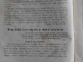 Šv. Pranciškaus Varpelis 1935 m. ,nr.7 /8 - nuotraukos Nr. 9