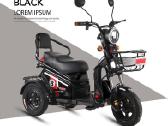 Elektrinis triratis motoroleris vezimelis - nuotraukos Nr. 4