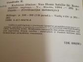 Viduramziu kulturos,antika,civilizacija -knygos - nuotraukos Nr. 3
