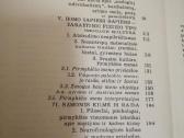 Viduramziu kulturos,antika,civilizacija -knygos - nuotraukos Nr. 4