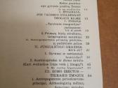 Viduramziu kulturos,antika,civilizacija -knygos - nuotraukos Nr. 5