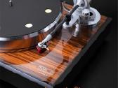 Nagaoka Mp-500 Mm galvute / Zyx cartridge - nuotraukos Nr. 11
