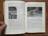 Tadas Ivanauskas "Gamtininko užrašai" 1955 metai - nuotraukos Nr. 9