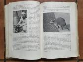 Tadas Ivanauskas "Gamtininko užrašai" 1955 metai - nuotraukos Nr. 12