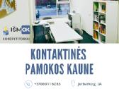 Individualūs korepetitoriai nuotoliu, gyvai Kaune - nuotraukos Nr. 3