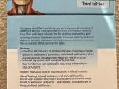 Anatomijos kortelių rinkinys Anatomy Flash Cards - nuotraukos Nr. 2