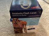 Anatomijos kortelių rinkinys Anatomy Flash Cards - nuotraukos Nr. 3