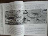 717. Происхождение Изобразительного Искуства - nuotraukos Nr. 7