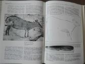 717. Происхождение Изобразительного Искуства - nuotraukos Nr. 8