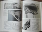 717. Происхождение Изобразительного Искуства - nuotraukos Nr. 9