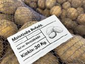 Maistinės bulvės 0,50ct - nuotraukos Nr. 5