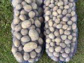 Maistinės bulvės 0,50ct - nuotraukos Nr. 7